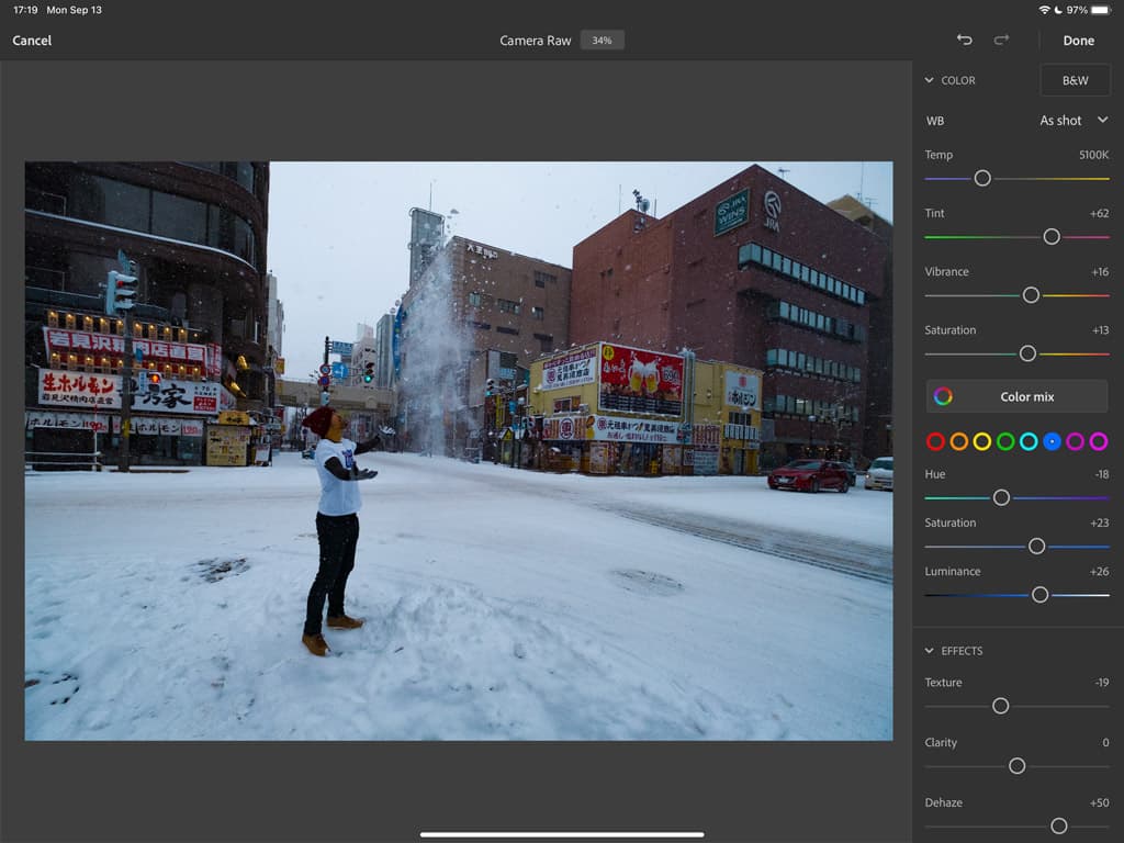 Photoshop on the iPad, Camera raw editing