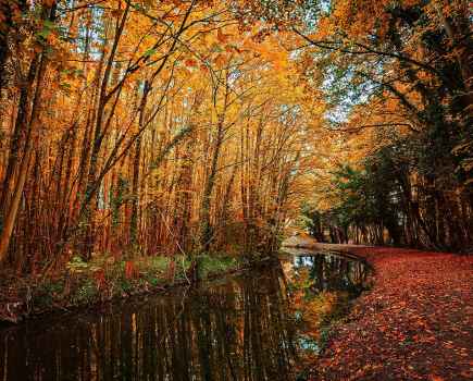 Johnathan-Rogers-Reflections of Autumn