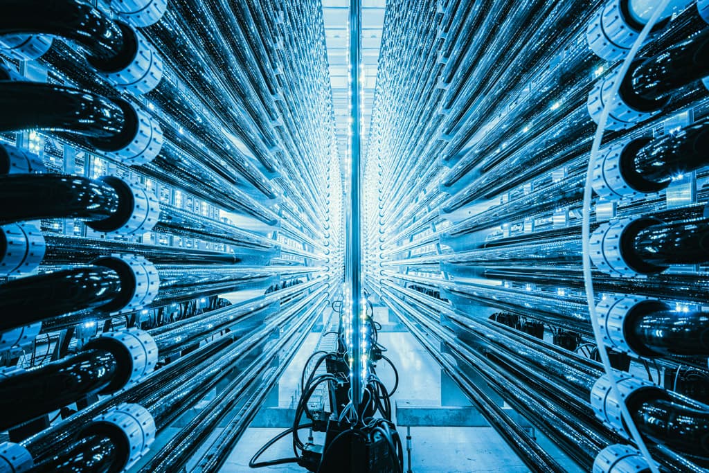 Net-zero transition - Photobioreactor, Simone Tramonte, 2020. By courtesy of the photographer and Environmental Photographer of the Year 2021.