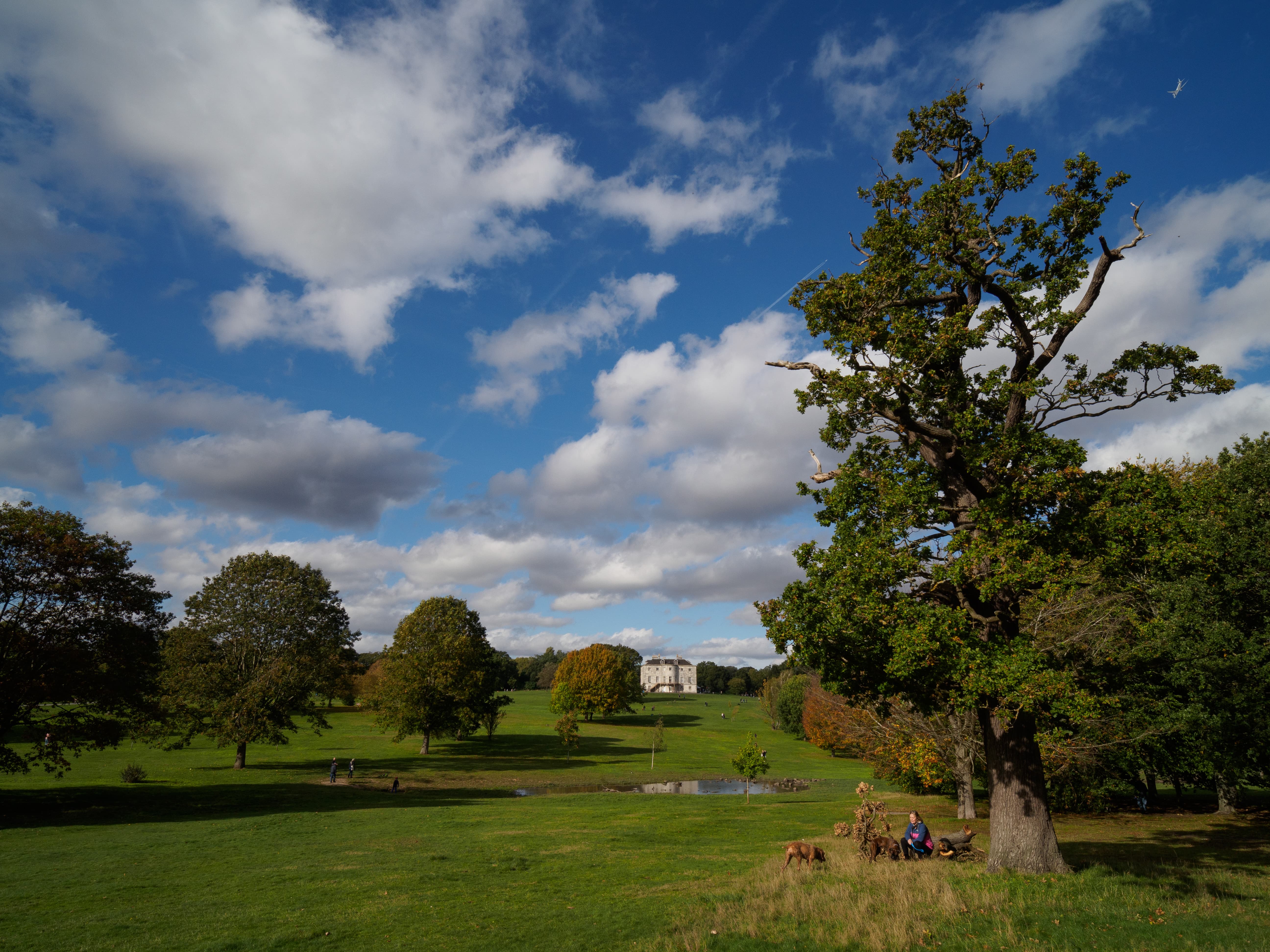 Laowa MFT 10mm F2 park sample image