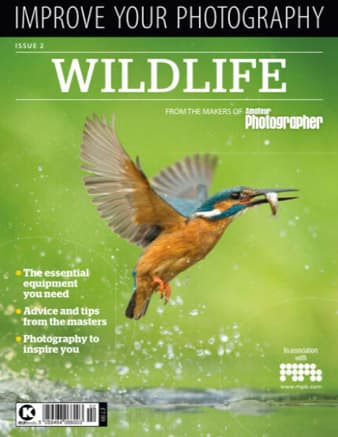 Bookazine - Improve Your Photography - Wildlife