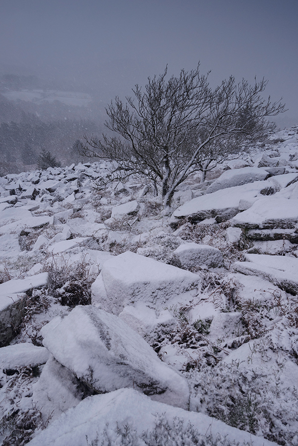 Snowy scene expert tips for shutter speeds ISO