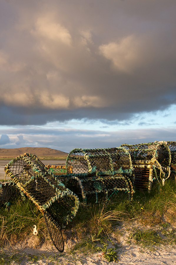 mindfulness photography lobster cages
