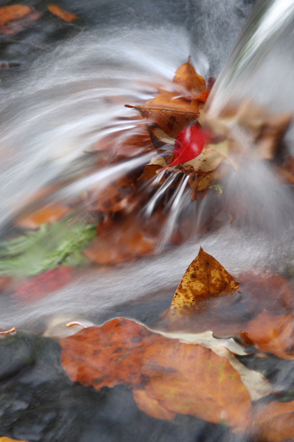 water flowing over leaves long exposure mindfulness