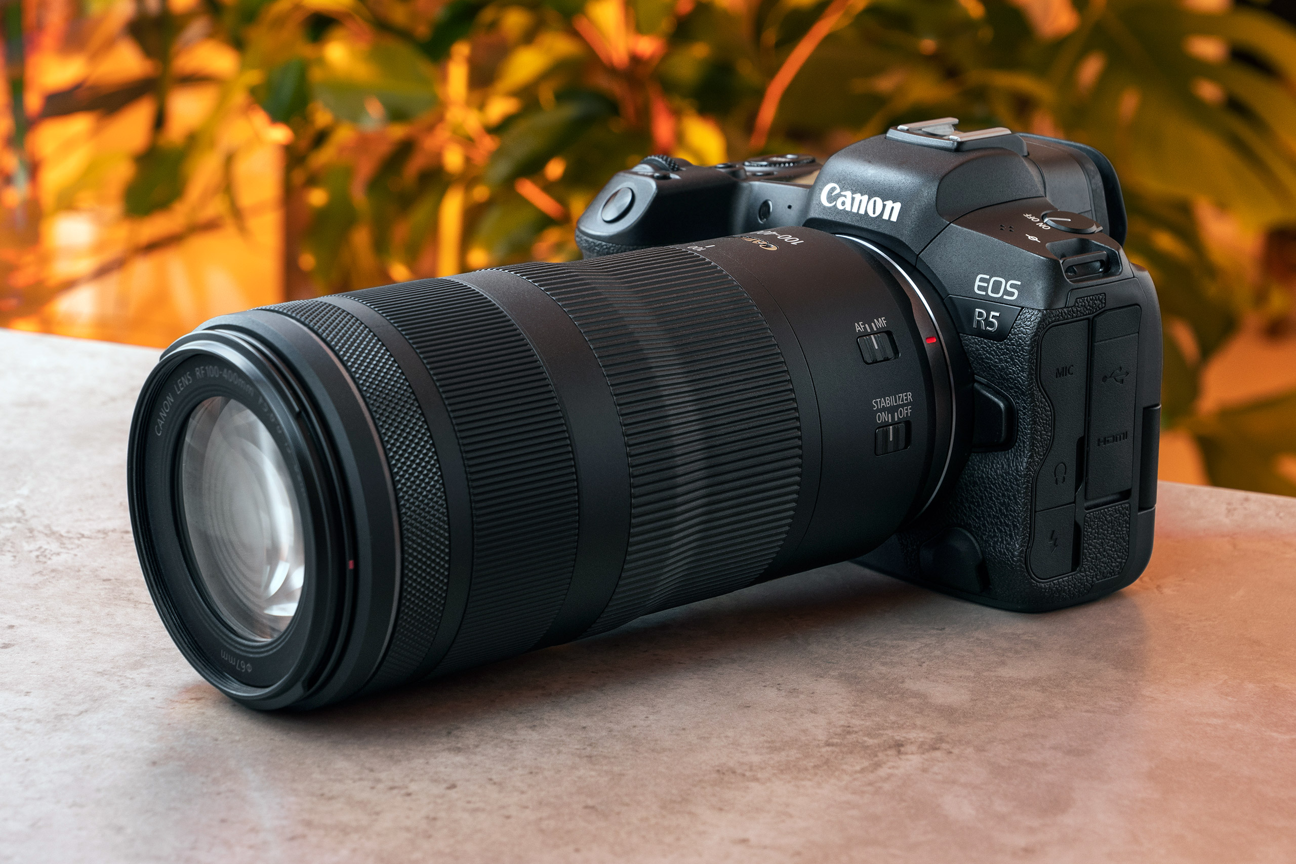 Canon RF 100-400mm F5.6-8 IS USM review - Amateur Photographer