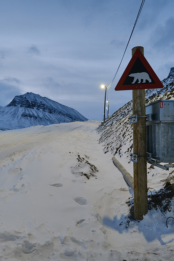 polar bear sign in Longyearbyen