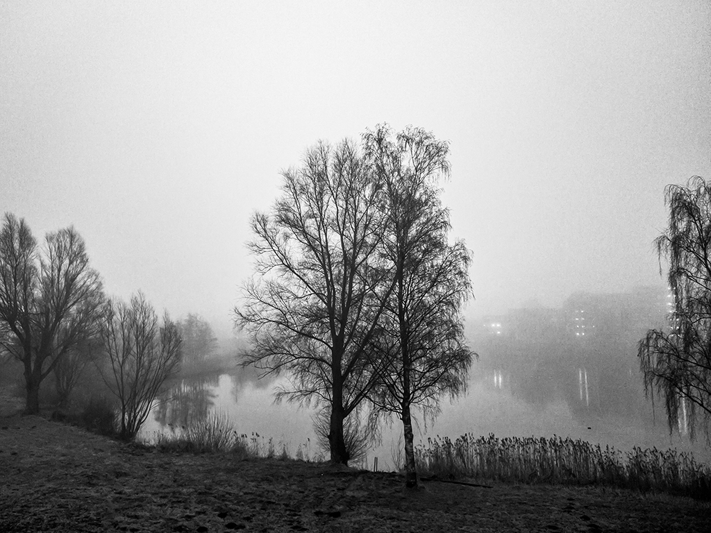 smartphone picture of the week, black and white scene by mick yates