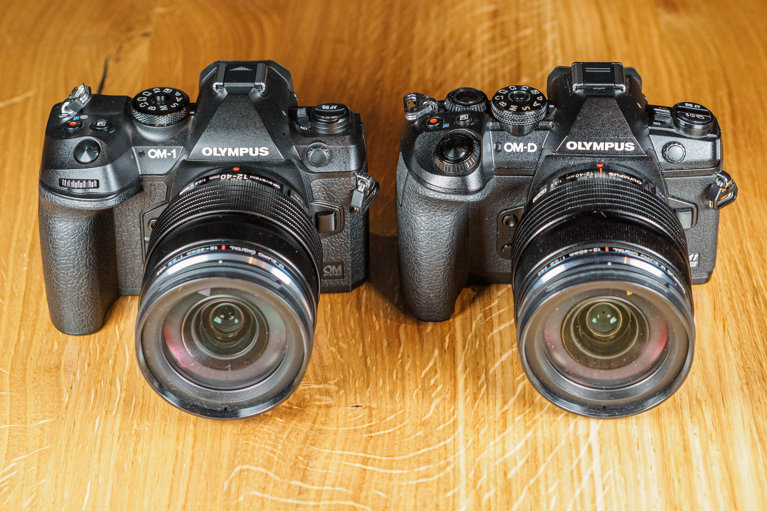 hemel Situatie spiraal OM System OM-1 vs Olympus E-M1 III: what's the difference? - Amateur  Photographer