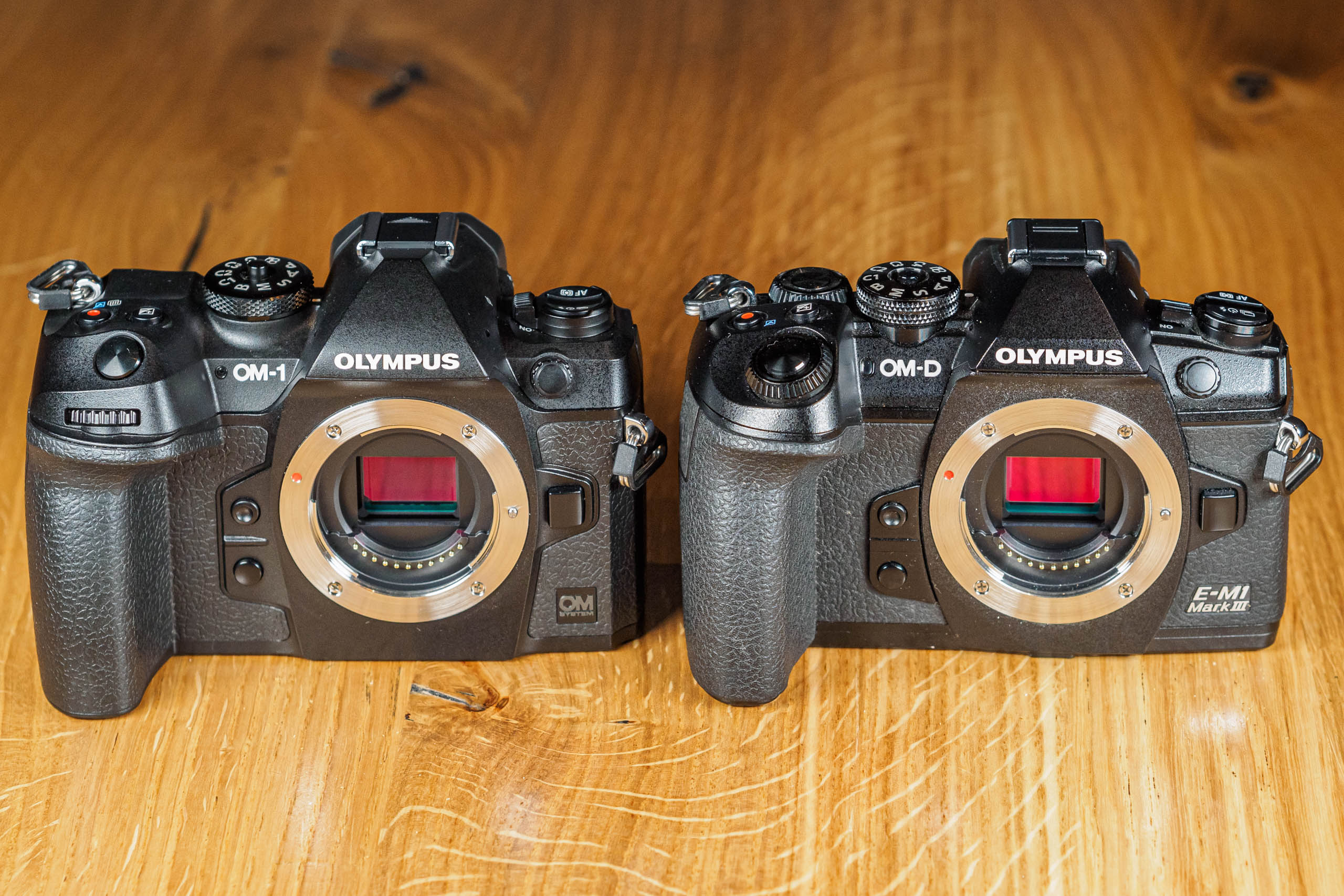 OM System OM-1 vs Olympus E-M1 III: what's the difference