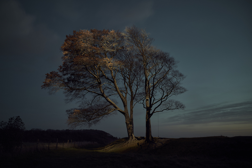 Beech Tree, Autumn. © Gareth Iwan Jones, United Kingdom, Finalist, Professional, Landscape, 2022 Sony World Photography Awards