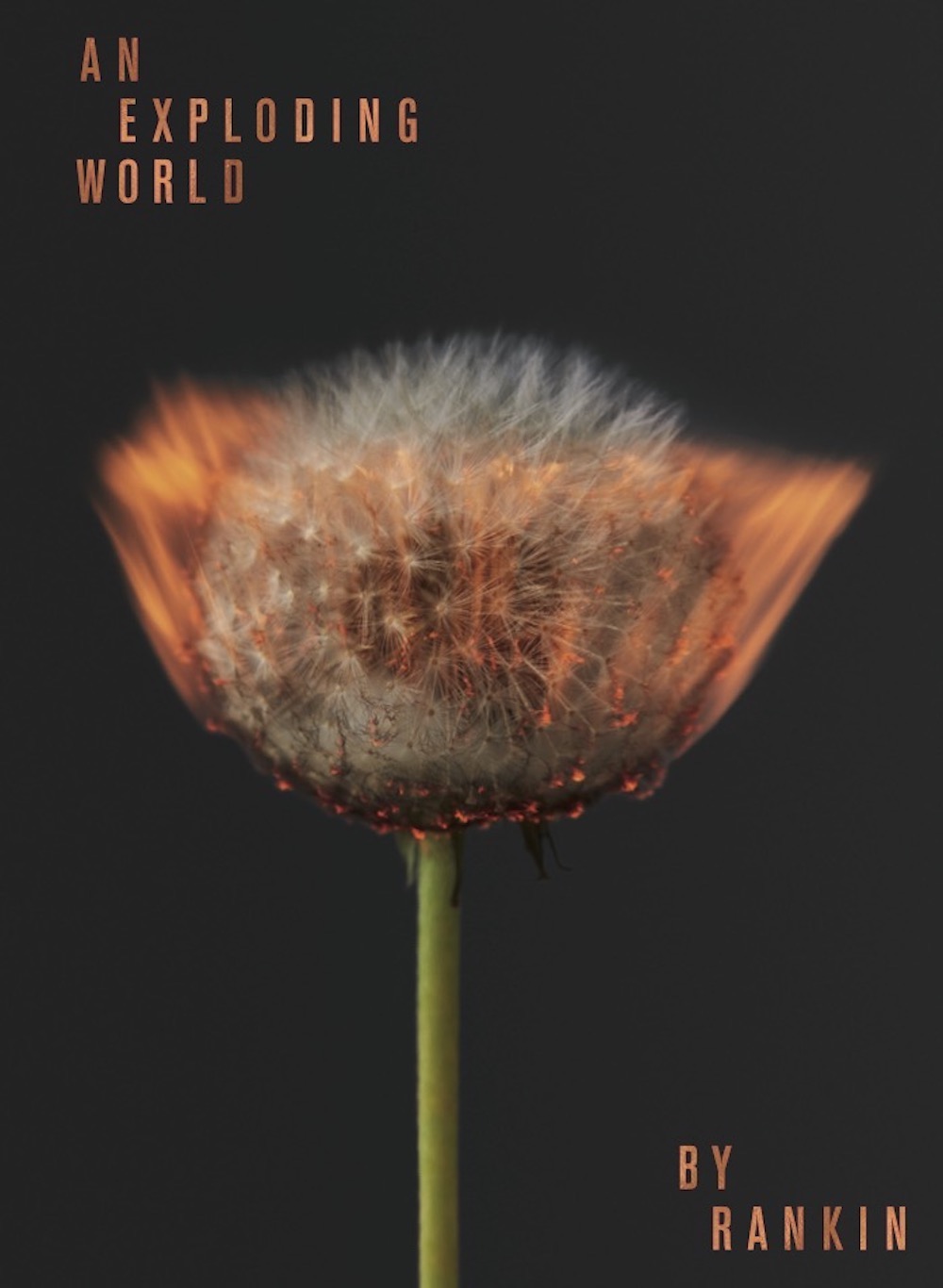 The front cover of Rankin's book An Exploding World. Image: Rankin/Rankin Publishing