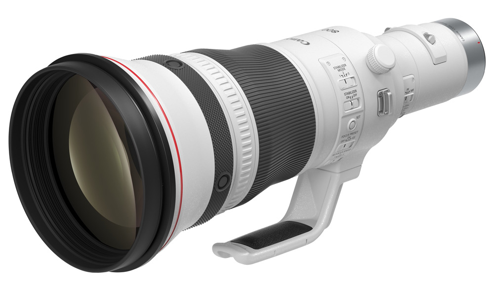 Best Canon RF lenses for wildlife photography: Canon RF 800mm F5.6L IS USM lens