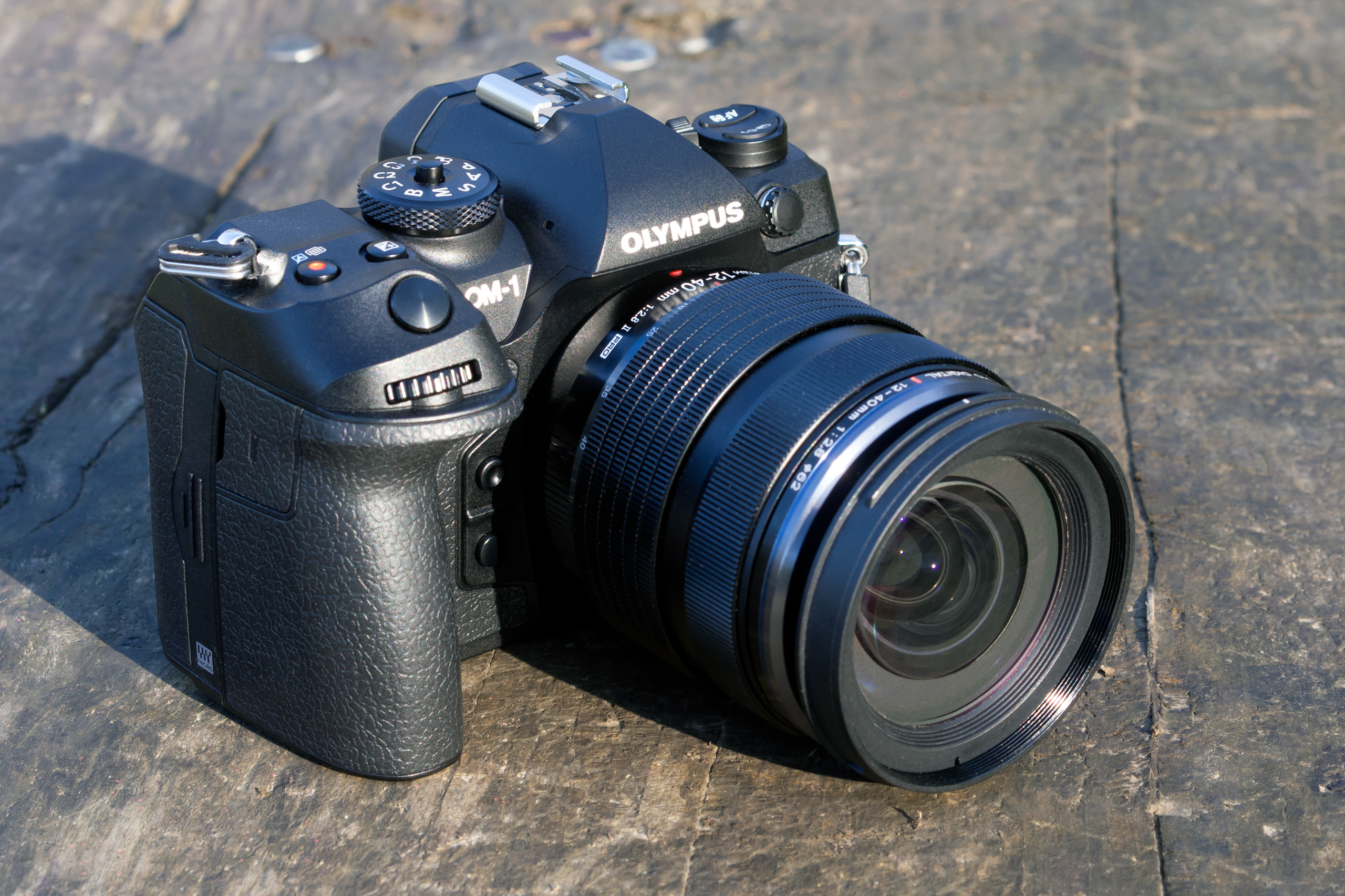 OM Systems Olympus OM-1 for Wildlife - First Impressions Review — Oxbow  Photography