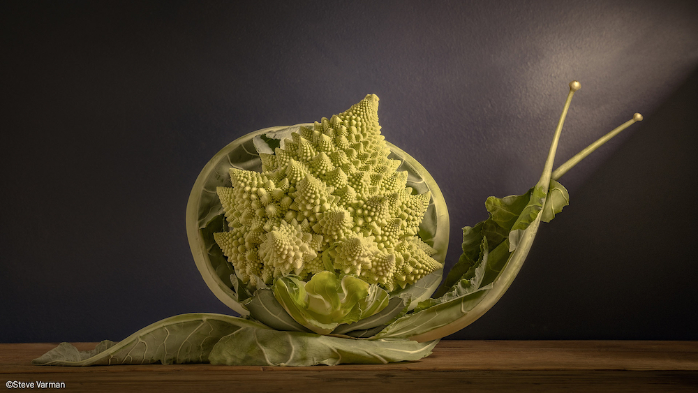 Romanescu Broccoli by Steve Varman (UK), shortlisted in the Fujifilm Award for Innovation category in the Pink Lady® Food Photographer of the Year 2022 awards. best spring photographs