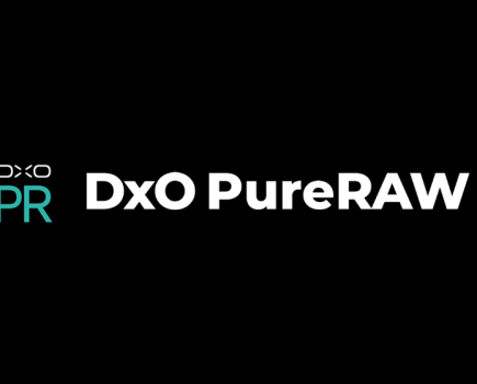 SxO Pure RAW 2 logo in black and blue