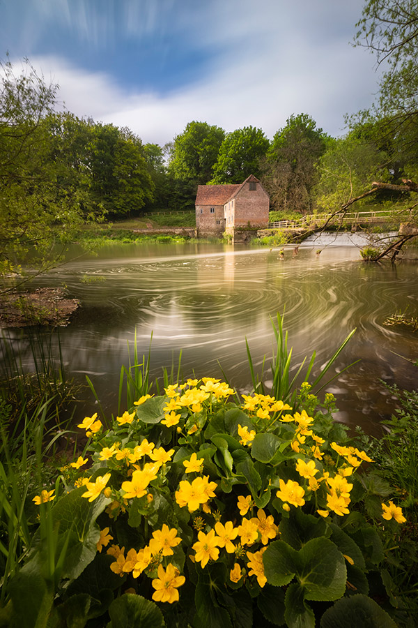 spring photo scene yellow flowers in foreground with lake and house in background