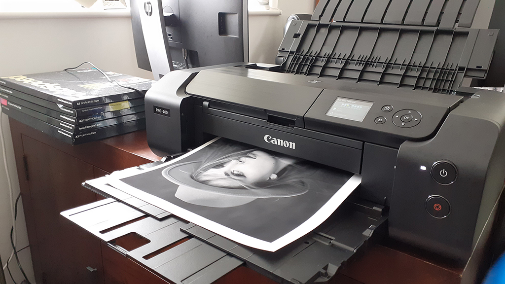 Can I service my own canon megatank printer? : r/printers