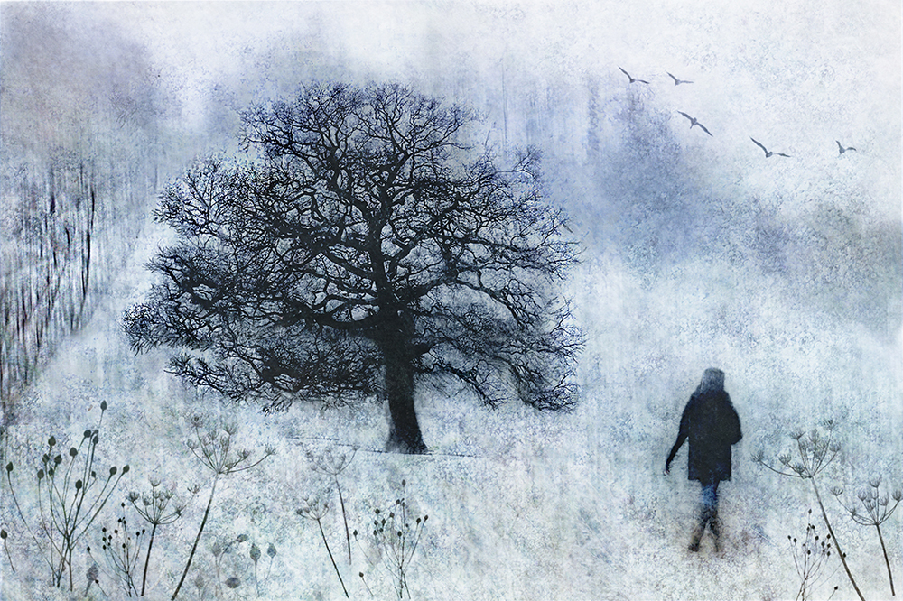 The Winter Tree by Jolanta Bujalska-Axon