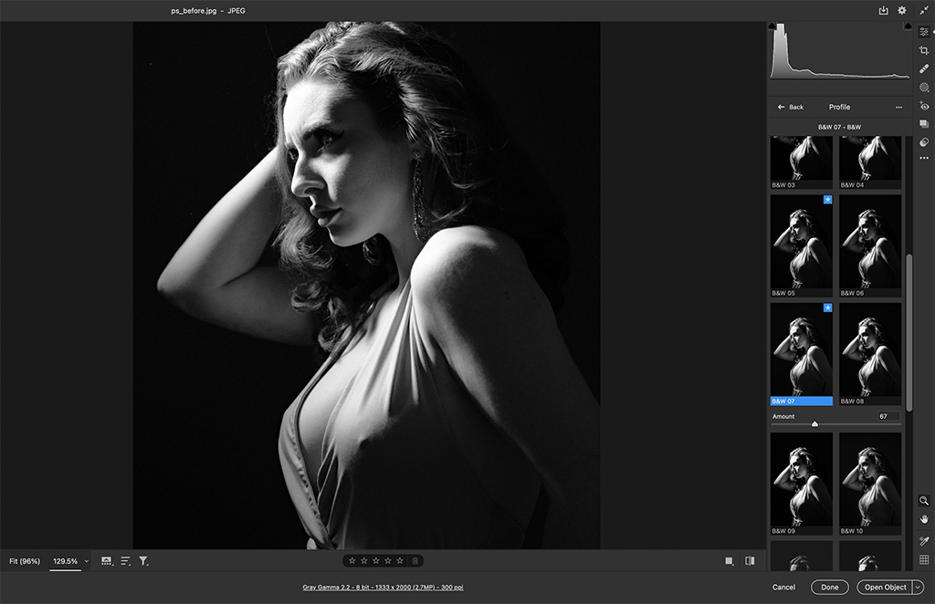 image editing in photoshop portrait