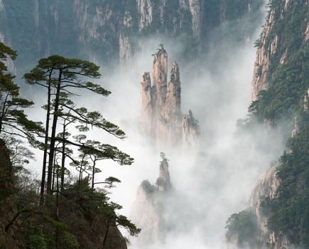 Trees grown on a steep vertical drop with clouds in Huangshan mountain range