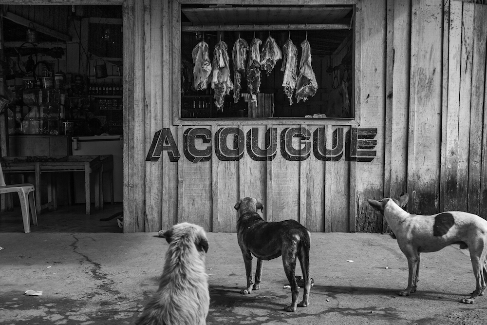 Stray dogs stare at meat hanging in a butcher's shop in Vila da Ressaca, an area previously mined for gold but now almost completely abandoned, in Altamira, Pará, Brazil, on 2 September 2013
