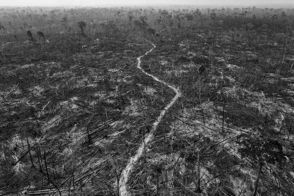 Massive deforestation is evident in Apuí, a municipality along the Trans-Amazonian Highway, southern Amazon, Brazil, on 24 August 2020. Apuí is one of the region’s most deforested municipalities