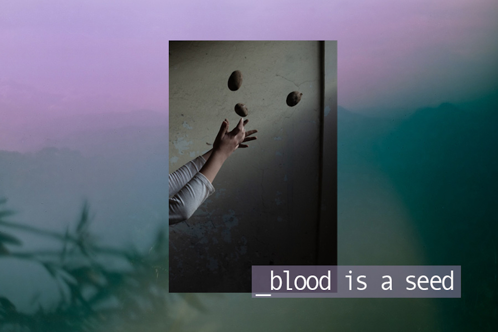 Poster of Blood is a Seed (2021)