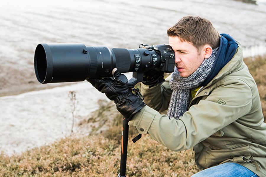 Best kit for wildlife photography - Amateur Photographer