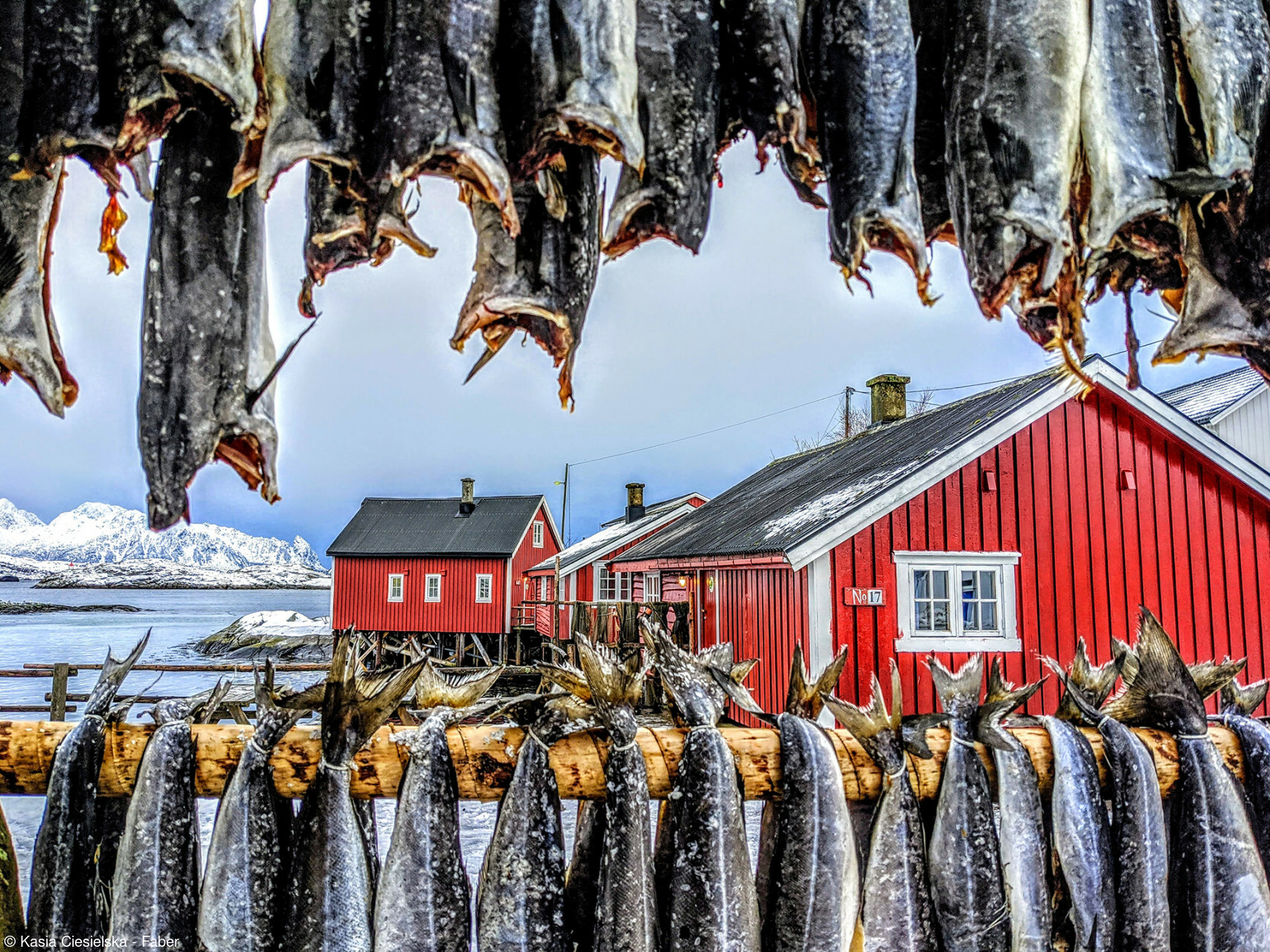 Drying Stockfish. © Kasia Ciesielska-Faber/Pink Lady® Food Photographer of the Year 2022
