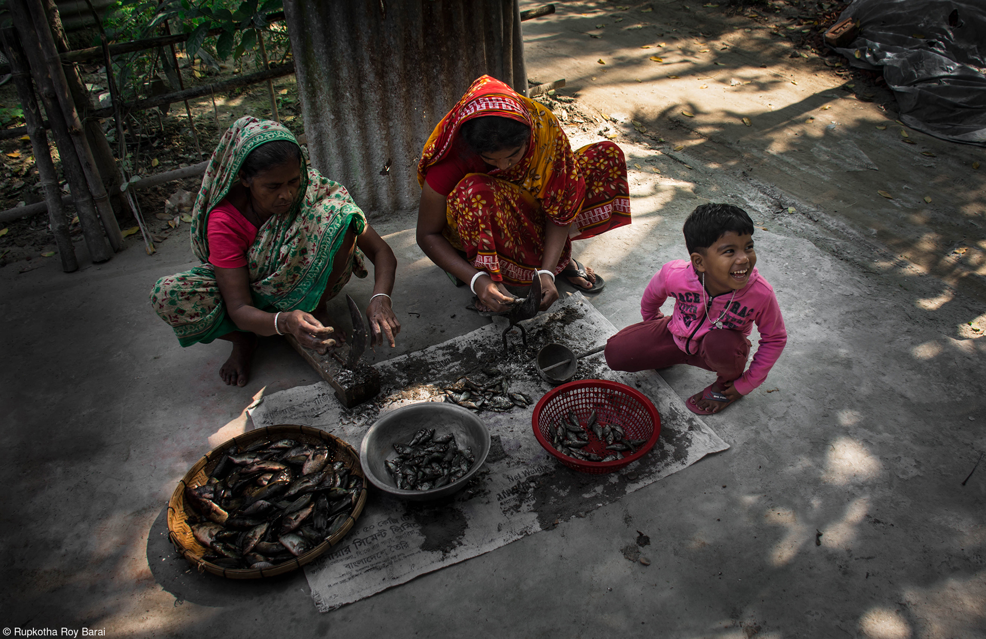 Processing Fish. © Rupkotha Roy Barai/Pink Lady® Food Photographer of the Year 2022