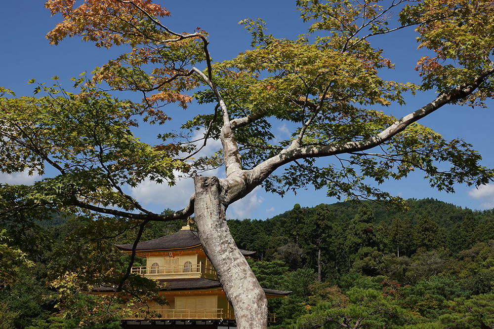 best travel camera for hawaii