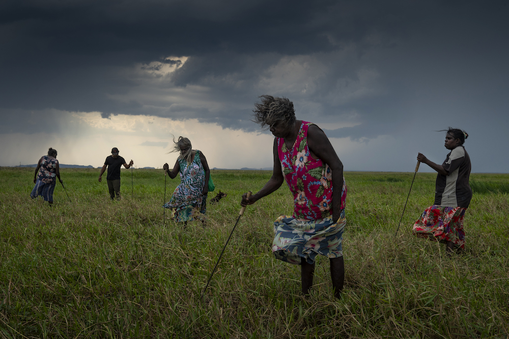 A group of Nawarddeken women elders hunt for turtles with homemade tools on floodplains near Gunbalanya, Arnhem Land, Australia on 31 October 2021. They spent all day finding just two turtles, which are a popular delicacy. Soon the grass will be burned to make the hunt easier