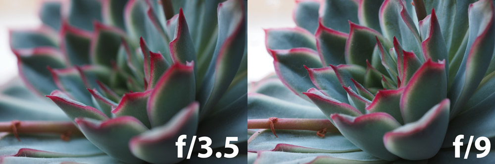 Depth of field differences. One image shot at f/3.5 and the second image shot at f/9