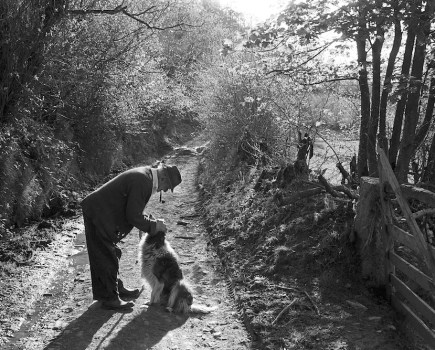 Archie Parkhouse and his dog Sally, 1982. © James Ravilious/Beaford Archive