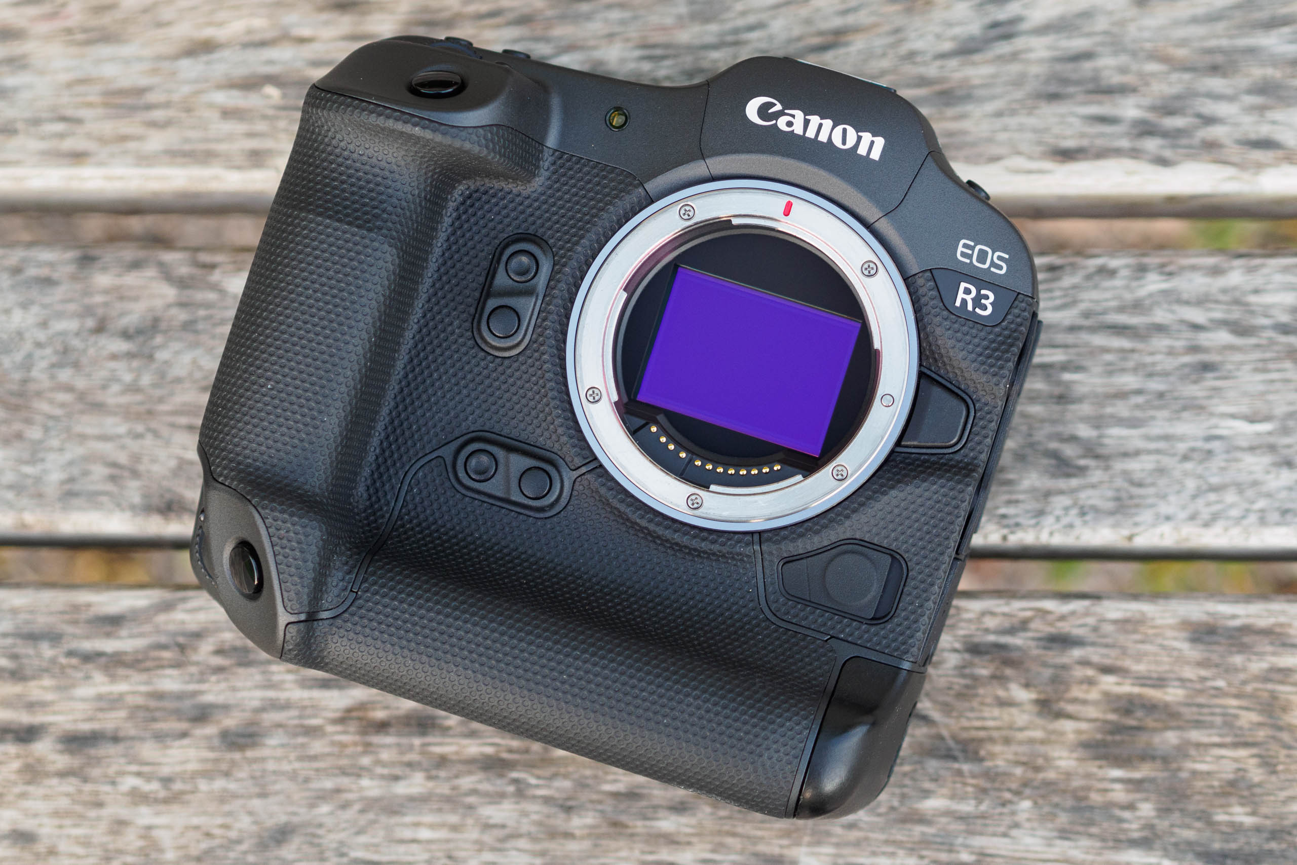 Canon EOS R3 sensor