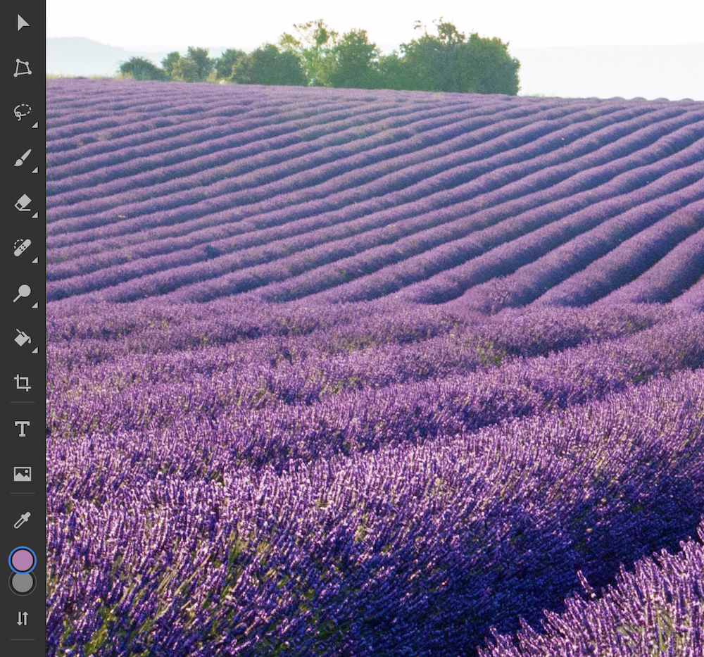 Content-Aware Fill has removed the people from this field of lavender