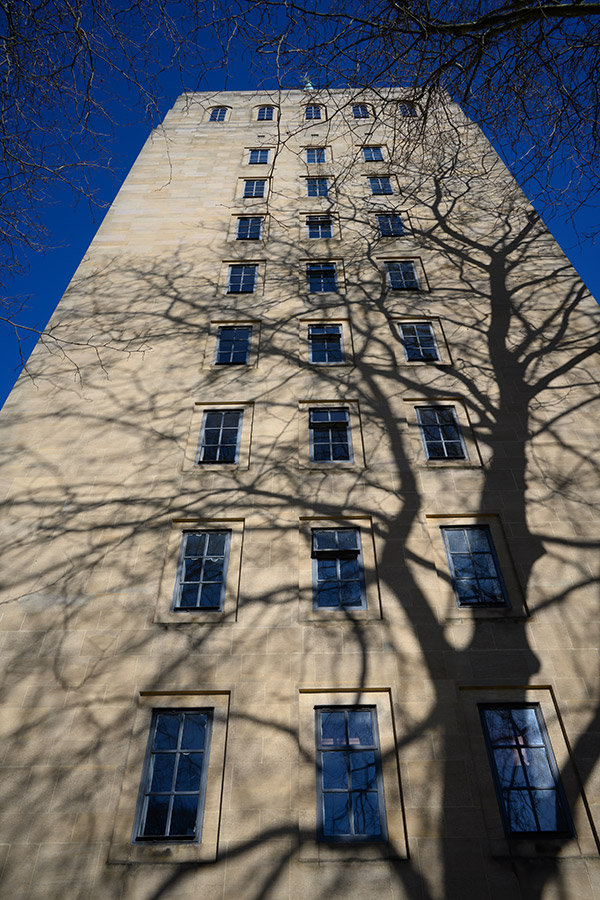 Using a 28mm lens on a full-frame camera and tipping the camera up to capture the shadow of the tree has resulted in converging verticals in this image, but it adds a dramatic sense of scale