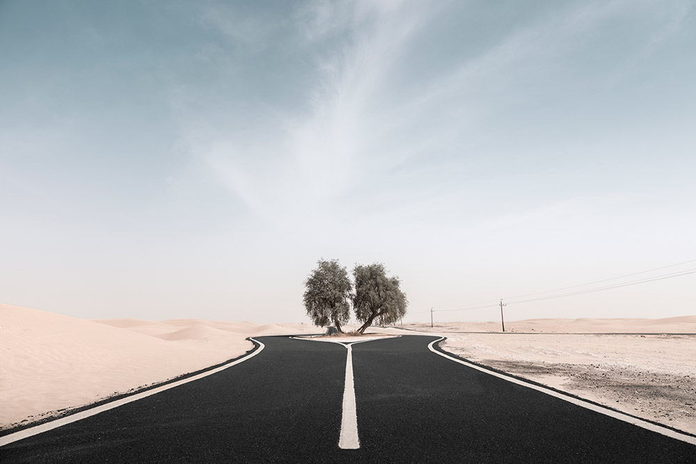 minimalist landscapes Desert Road