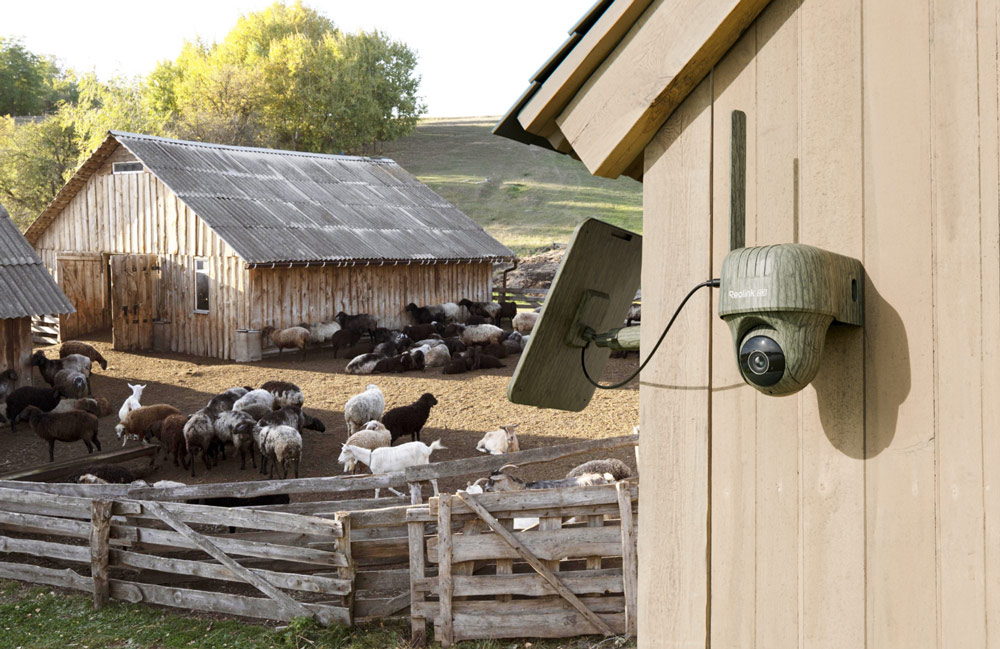 How Reolink cameras are helping in the battle to protect wildlife