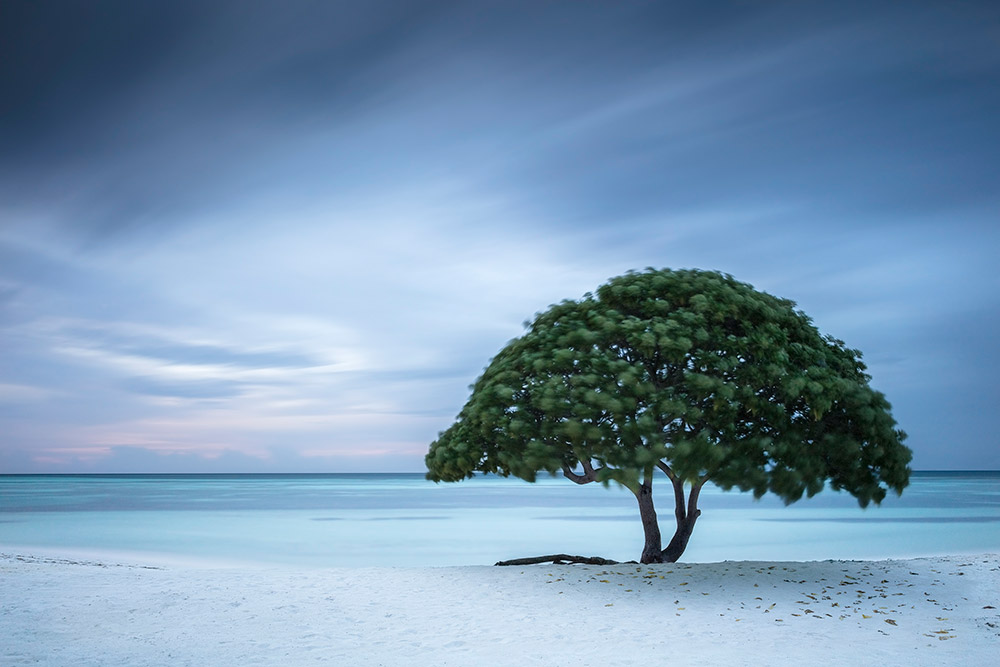 Life’s a Beach – Maldives