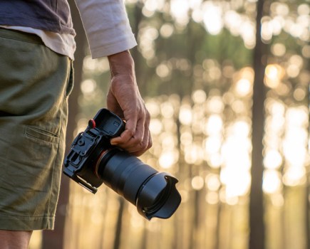 Photographer holding digital camera with morning forest background - Virojt Changyencham / Getty Images