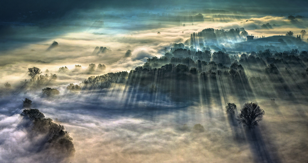 Morning Fog, Airuno, Italy - winner Weather Photographer of the Year 2021. © Giulio Montini