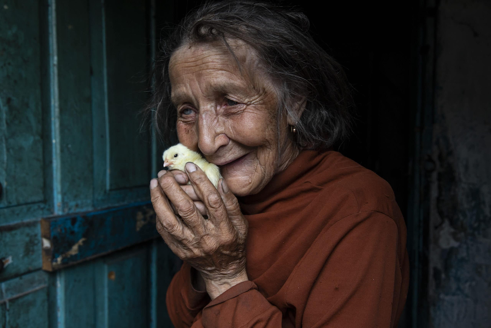 Opytne, Eastern Ukraine: Mariya Gorpynych, age 76, lives alone. She holds new chicks delivered by ICRC as part of a humanitarian aid service for elderly that live alone. It also allows them to raise chickens for some income. She speaks with tears in her eyes when talking about the death of her son. Victor,48 was killed due to the war in 2016, he was fatally injured by shelling that hit the home. He died in her hands. Her husband, died in the same year from a heart attack from extreme stress of living too close to the front line. Mariya refuses to leave her village because her family are buried there.”I have nowhere to flee, my whole family is buried here.” “I got used to the continued shelling.” Opytne is a war torn village on the contact line where only 43 people are left due to the dangers. © Paula Bronstein