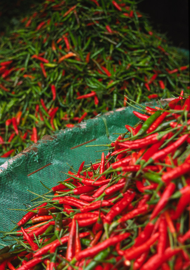 red chillies green background colour contrast
