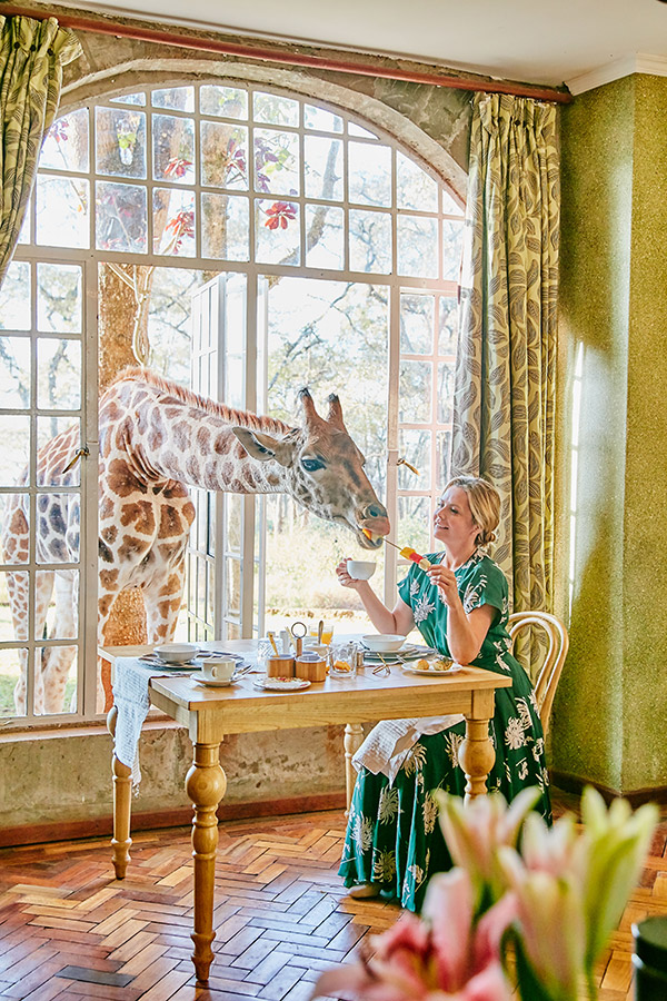 woman eating, giraffe with head through the window