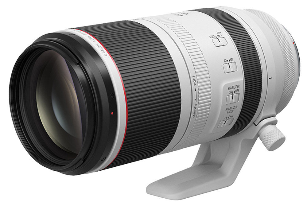 Best lens for wildlife - Canon RF 100-500mm F4.5-7.1L IS USM