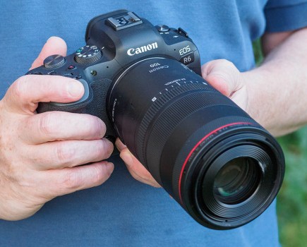Canon RF100mm F2.8 Macro lens attached to EOS R6, review image by Andy Westlake