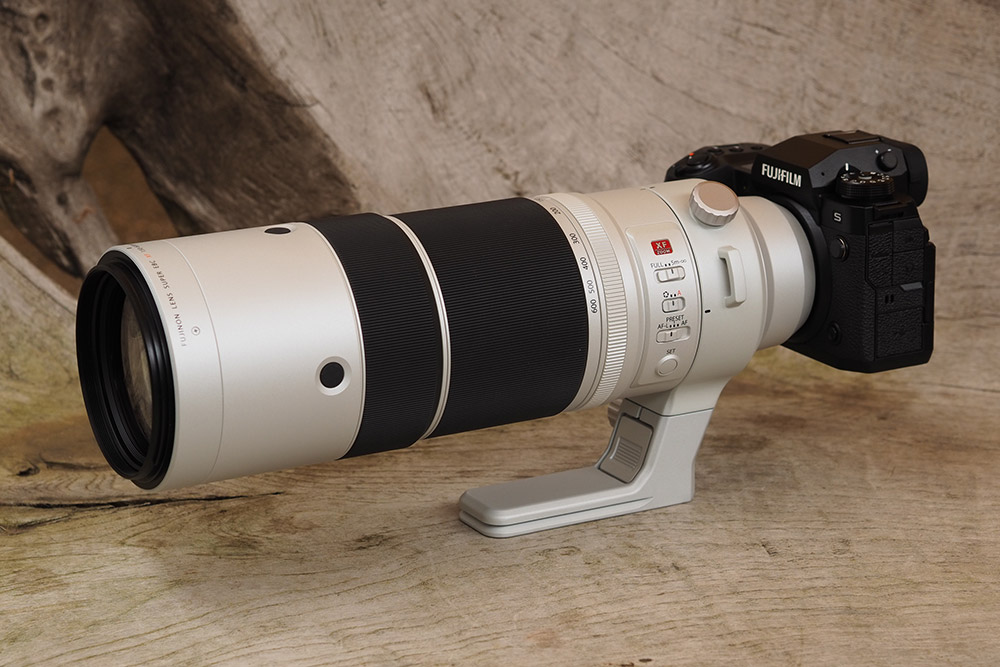 Fujifilm XF 150-600mm F5.6-8 R LM OIS WR review image by Angela Nicholson