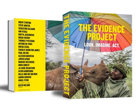 Mock-ups of the front and back covers of the planned THE EVIDENCE PROJECT book