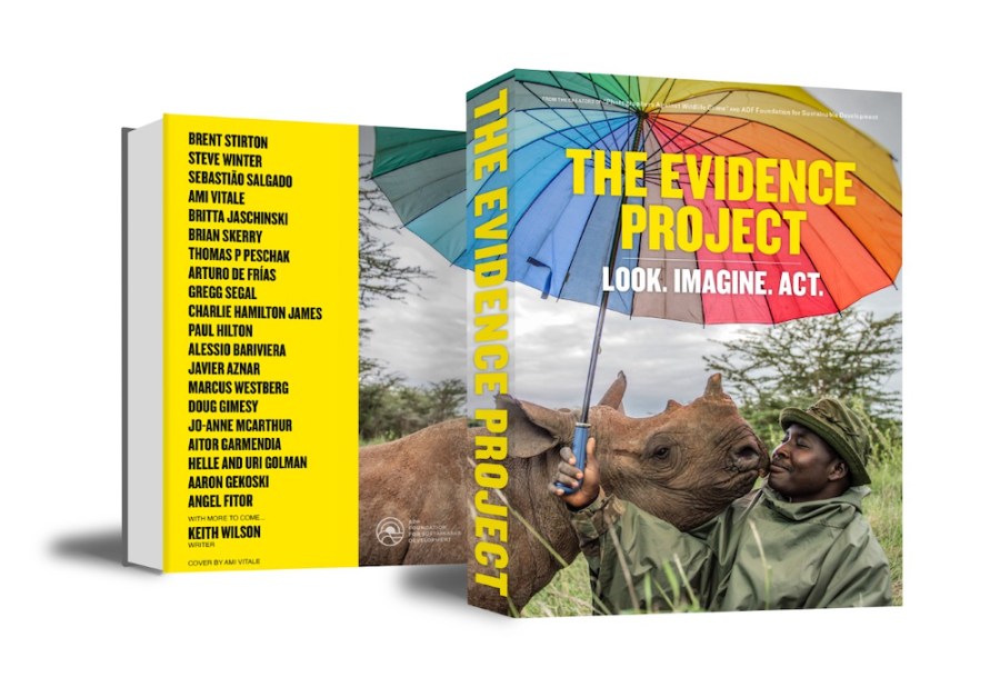Mock-ups of the front and back covers of the planned THE EVIDENCE PROJECT book